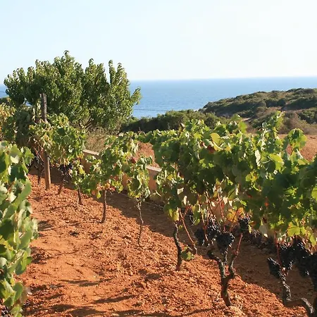 Vila Rosa - Private Swimming Pool With Sea View *